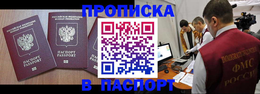 прописка для школы в Мурманской области