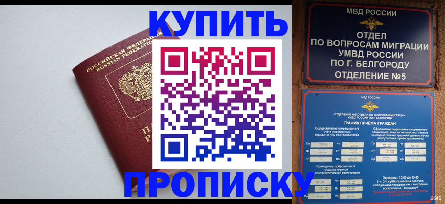 прописка регистрация в Мурманской области